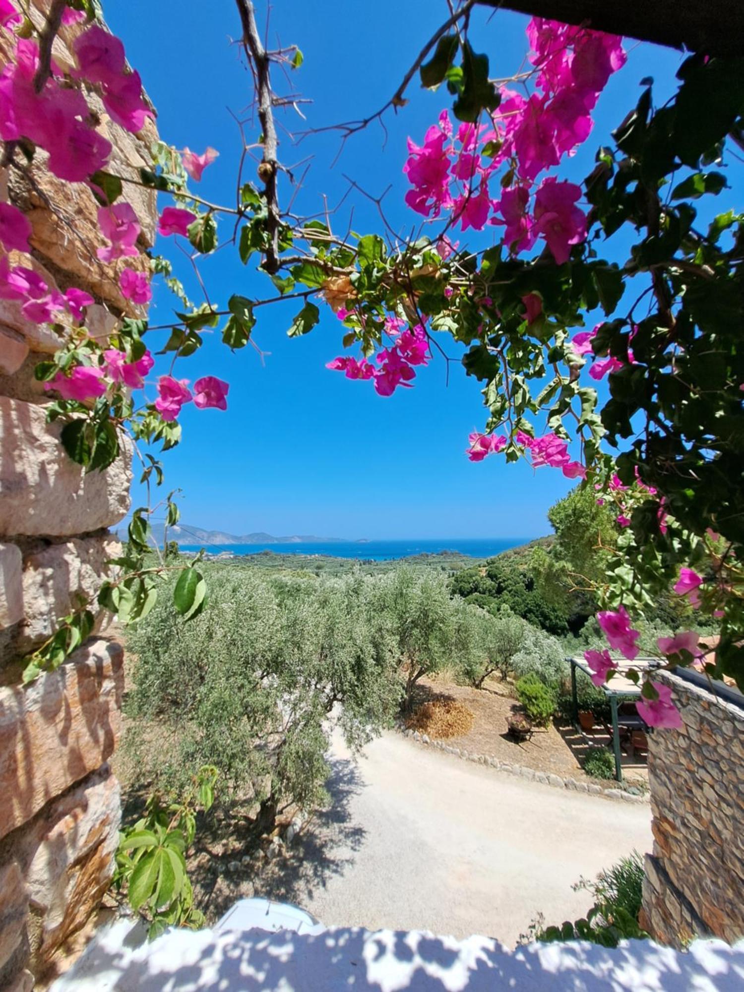 Tsivouli Accommodation Lithakia  Exteriér fotografie